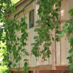 tischlerei_hamburg_holzwerkstatt-kaesebier_baumhaus_baumhoehle_spielpodest_krippenpodest_schlafpodest-25